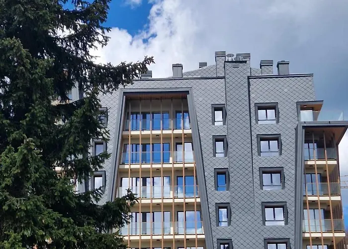 Monterra 亚霍里纳